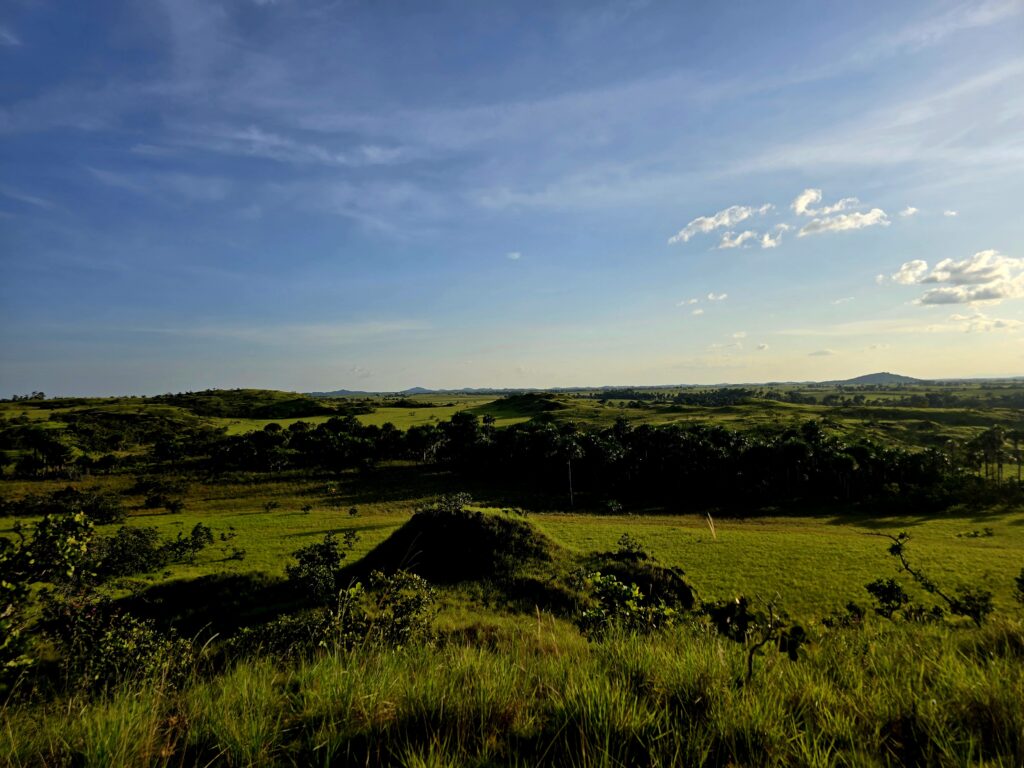 Insight Passport - Maruranau 3 20250623 171437