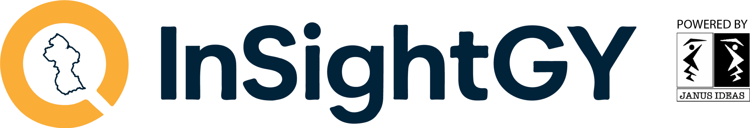 logo insight