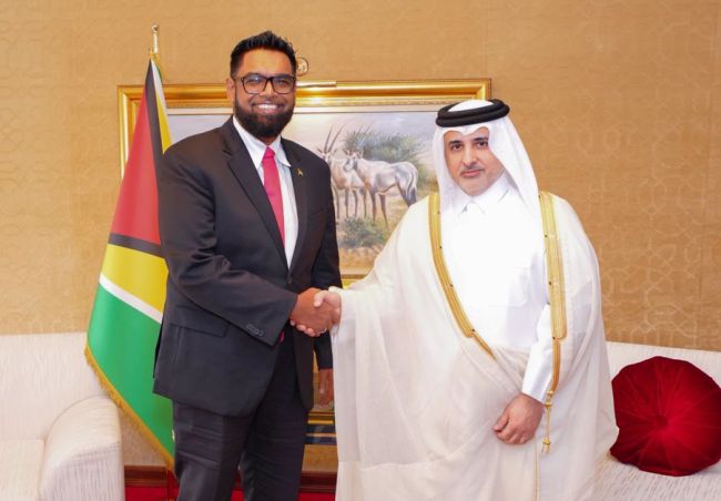 Guyana to deepen partnership with Qatar, President Ali says