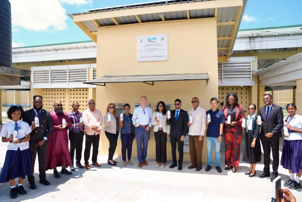 Project FLOW commissioned in Region Six